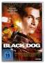 Kevin Hooks: Black Dog, DVD
