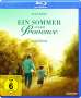 Rose Bosch: Ein Sommer in der Provence (Blu-ray), BR