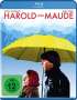 Hal Ashby: Harold und Maude (Blu-ray), BR