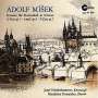 Adolf Misek: Sonaten für Kontrabaß & Klavier opp.5-7, CD