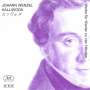 Johann Baptist Wenzel Kalliwoda (1801-1866): Werke für Klavier 4-händig, CD
