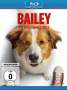 Gail Mancuso: Bailey - Ein Hund kehrt zurück (Blu-ray), BR