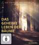 Jörg Adolph: Das geheime Leben der Bäume (Blu-ray), BR