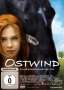 Ostwind, DVD