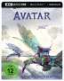 Avatar (Ultra HD Blu-ray & Blu-ray im Steelbook), 1 Ultra HD Blu-ray und 2 Blu-ray Discs
