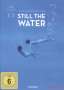 Still the Water (OmU), DVD