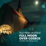 Paul Millns: Full Moon Over Goseck: 70th Birthday Concert, CD