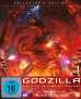 Godzilla: Eine Stadt am Rande der Schlacht (Collector's Edition), DVD