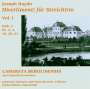 Joseph Haydn: Divertimenti (Streichtrios) Vol.1, CD