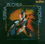 Hermann Zilcher (1881-1948): Klaviertrio op.56, CD