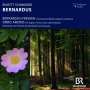 Enjott Schneider (geb. 1950): Konzert für Flöte, Orgel & Orchester "Bernardus-Fresken", CD