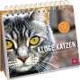 Kathrin Schmoll: Wochenkalender 2025: Kluge Katzen, Kalender