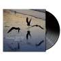 Tingvall Trio: Birds (180g) (Black Vinyl), LP