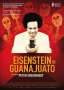 Eisenstein in Guanajuato, DVD