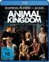 David Michod: Animal Kingdom (Blu-ray), BR