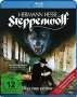 Fred Haines: Der Steppenwolf (Blu-ray), BR