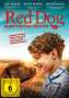 Red Dog - Mein treuer Freund, DVD
