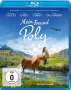 Nicolas Vanier: Mein Freund Poly (Blu-ray), BR
