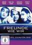 Farhan Akhtar: Freunde wie wir, DVD
