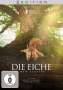 Laurent Charbonnier: Die Eiche - Mein Zuhause, DVD