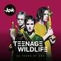 Ash: Teenage Wildlife: 25 Years Of Ash, 2 CDs