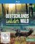 Axel Gebauer: Deutschlands wilder Wald: Das geheime Leben der Rothirsche / Naturwunder Schorfheide (Blu-ray), BR