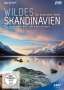 Jan Haft: Wildes Skandinavien, DVD,DVD