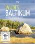 Christoph Hauschild: Wildes Baltikum: Die Küste / Wälder und Moore (Blu-ray), BR