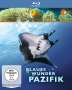 John Cullum: Terra X: Blaues Wunder Pazifik (Blu-ray), BR