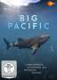 Craig Meade: Big Pacific, DVD