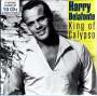 Harry Belafonte: King Of Calypso - 17 Original Albums & Bonus Tracks, CD,CD,CD,CD,CD,CD,CD,CD,CD,CD