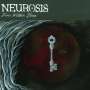 Neurosis: Fires Within Fires (Grey Vinyl), LP