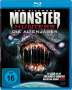 Brendan Petrizzo: Monster Hunters - Die Alienjäger (Blu-ray), BR