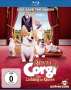 Royal Corgi - Der Liebling der Queen (Blu-ray), Blu-ray Disc