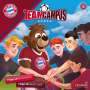 FC Bayern Team Campus (CD 8), CD