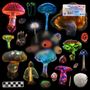 Text: „TELL IT TO THE MOUNTAIN, Axel Boman & Superpitcher, BLU ARR A, 33⅓“. Leuchtende, fantasievolle Pilze und Pflanzen., 2 LPs