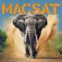 Macsat: Turn It Up (180g) (Crystal Clear Vinyl), LP