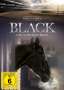 Black, der schwarze Blitz Box 1, 4 DVDs