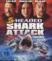 Christopher Ray: 3-Headed Shark Attack (Blu-ray), BR