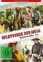 George B. Seitz: Wildpferde der Mesa, DVD