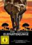 Der Elefantenjunge (1936), DVD