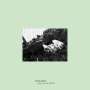 Steve Hiett: Girls In The Grass (Remastered), CD