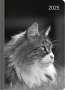 Lady Journal Cat 2025 - Taschenkalender A6 (10,7x15,2 cm) - Weekly - 192 Seiten - Notiz-Buch - Termin-Planer - Alpha Edition, Kalender