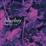 Blueboy: Singles 1991 - 1998, 2 LPs