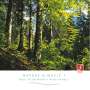 Santec Music Orchestra: Nature & Music I, CD