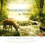 Santec Music Orchestra: Natursinfonie im Wald (Instrumentalmusik), CD