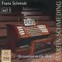 Franz Schmidt (1874-1939): Orgelwerke Vol.1, CD