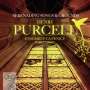 Henry Purcell: Serenading Songs & Grounds, CD