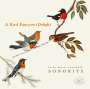 Sonorita - A Bird Fancyer's Delight, CD