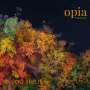 Opia Consort - As you like it, CD